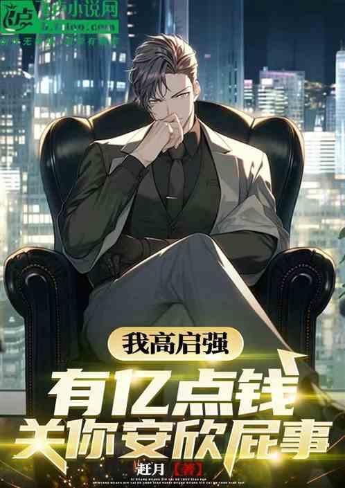 高启简介