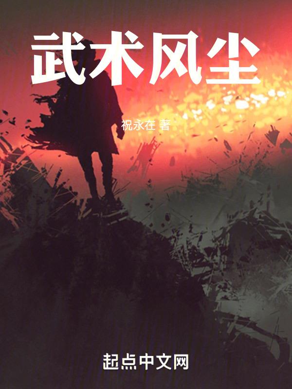 武术风范