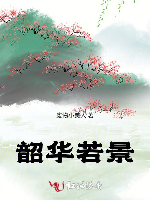 韶华 意思