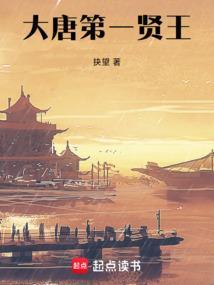 大唐第一闲王免费阅读