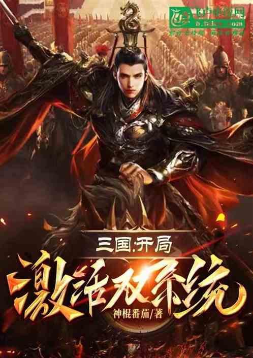 三国开局激活双系统陆宇的