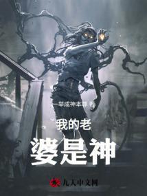 我的老婆是神免费阅读