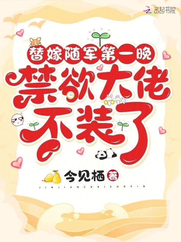 替嫁将军解读