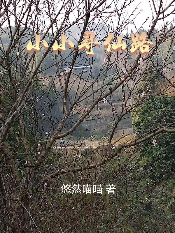 小小寻仙路共多少章