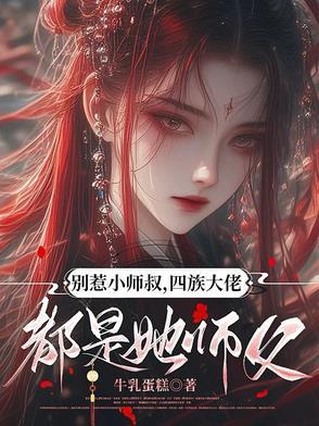 别惹大叔小梦老宋