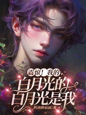 我的白月光长什么样