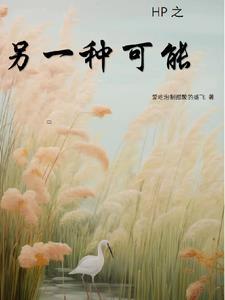 另一种可能二刀txt