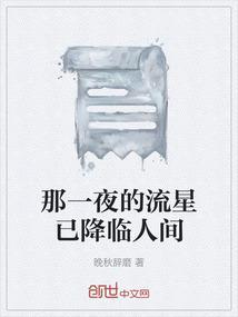 那一夜的流星已降临人间
